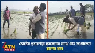 ভোটের প্রচারণায় কৃষকদের সাথে ধান লাগালেন রাশেদ খান | Rashed Khan | Election | BNP | ATN News