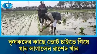 কৃষকদের কাছে ভোট চাইতে গিয়ে ধান লাগালেন রাশেদ খাঁন | Rashed Khan | Pabna | Rtv