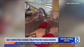 Rat-infested Orange County home frustrating neighbors 
