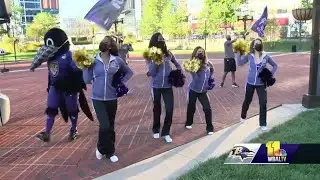 Ravens fans begin their celebrations at Purple Friday rally