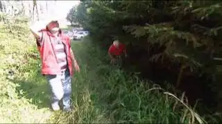 Raw Video: Runaway Cow Captures German Hearts