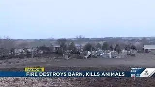 Raymond fire destroys barn, kills animals inside