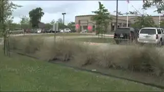 Reaction as TEA takes over BISD