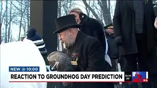 Reactions to groundhog day weather prediction