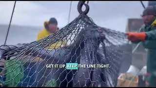 Real Mermaid Sighting in Deep Sea | They FOUND a Mermaid… and the Entire Crew Never Returned 