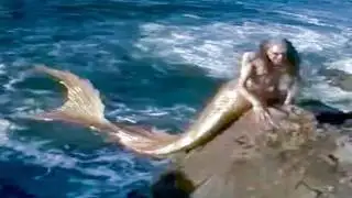 Real Mermaid Sightings Caught Clearly on Camera