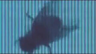 Real News That Matters