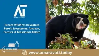 Record Wildfires Devastate Peru