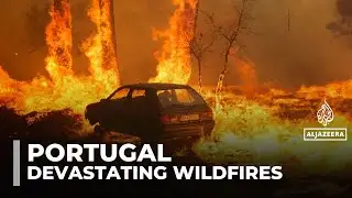 Record wildfires devastate Portugal as firefighters battle relentless blazes