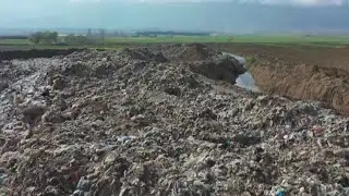 Recycling Christmas Trees in the New Year | Environment Matters