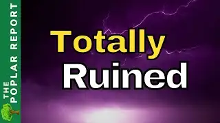 🚨🚨Red Alert: THIS Is About To DISAPPEAR- Watchmen Updates