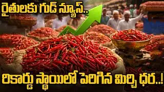 Red Chilli: భారీగా పెరిగిన ఎండు మిర్చి ధరలు..! | Oneindia Telugu