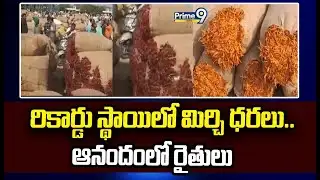 రికార్డు స్థాయిలో మిర్చి ధరలు.. ఆనందంలో రైతులు | Red Chilli Rate | Prime9 News