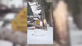 Red River cleaning up after wind storm causes damage