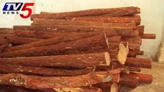Red Sandal Wood Seized  Thieves escaped - TV5