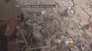 Remains In Washington Square Park