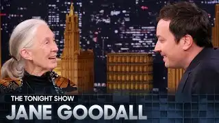 Remembering Dr. Jane Goodall | The Tonight Show Starring Jimmy Fallon