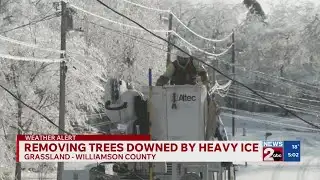 Removing trees downed by heavy ice in Williamson County