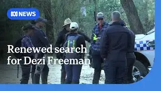 Renewed search for Dezi Freeman enters second day | ABC NEWS