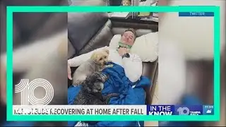 Rep. Greg Steube continues to recover after falling from ladder