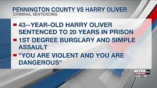 Repeat offender sentenced to 20 years in prison