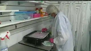 Report: Antidepressants use on rise and difficult to quit