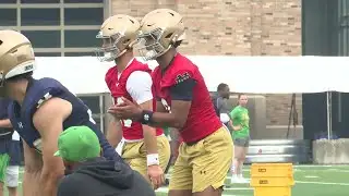 Report: Notre Dame QB to transfer to Nebraska