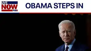 Report: Obama, Pelosi, Schumer pressure Biden to step aside | LiveNOW from FOX