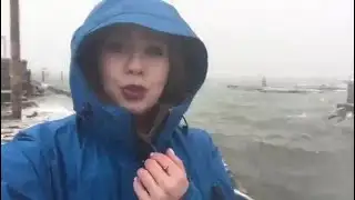 Reporter Update: Heavy Snow, Strong Wind Gusts Batter Plymouth