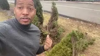 Reporter Update: SUV Crashes Into Oakmont Bakery