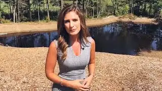 Reporter Update: Too Many Trees Cut Down In Tewksbury