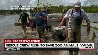 Rescue crews work to save animals at Texas Zoo