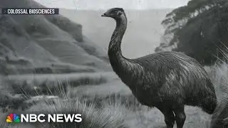 Researchers launch new effort to revive extinct species