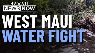 Residents call for county water management in West Maui