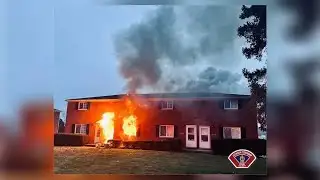 Residents forced out, 3 pets killed after apartment fire in Ohio | WHIO-TV