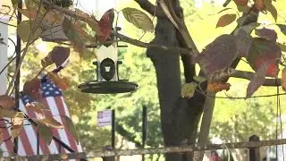 Residents: Immorality Invades Brooklyn Park