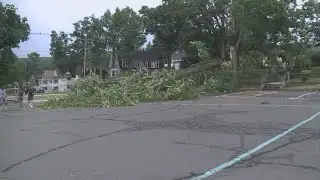 Residents in Bristol clean up debris after storm