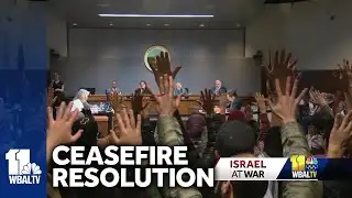 Resolution calling for ceasefire in Gaza fails in Howard County