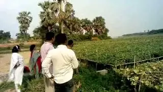 Resource Integration Centre (RIC)