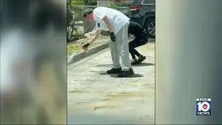 Restaurant employee caught on camera spraying apparent roach-covered trays