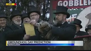RESULTS: Groundhog Day!