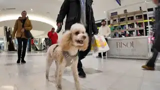 Retailers open their doors nationwide for Black Friday