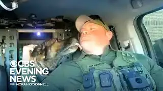 Retired K-9 gets new assignment