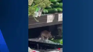 Return of the rats? New video sparks fresh concerns at Humble Walmart