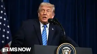 Revolt: Artists & GOP break with Trump as authoritarian push risks midterms