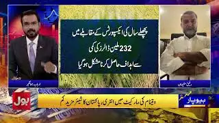 Rice Export Down 39%: Market Share Falls, Prices Drop — A Major Alarm for Pakistan