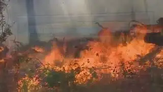 Rices Wildfire Now At 10% Containment