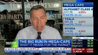 Richard Saperstein on CNBC Halftime Report: Bear Market Rally