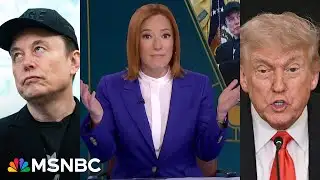 Right-wing brains melt over Trump-Musk feud