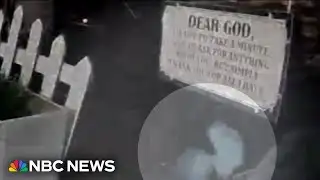 Ring camera in California captures alien-like figure